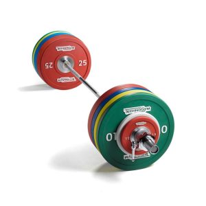 Technogym Olympic Rubber Plates for sale