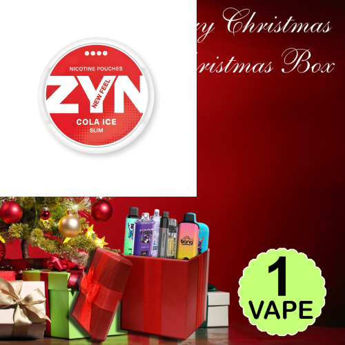 1x Disposable Vape Christmas Gift Box | IGET Australia